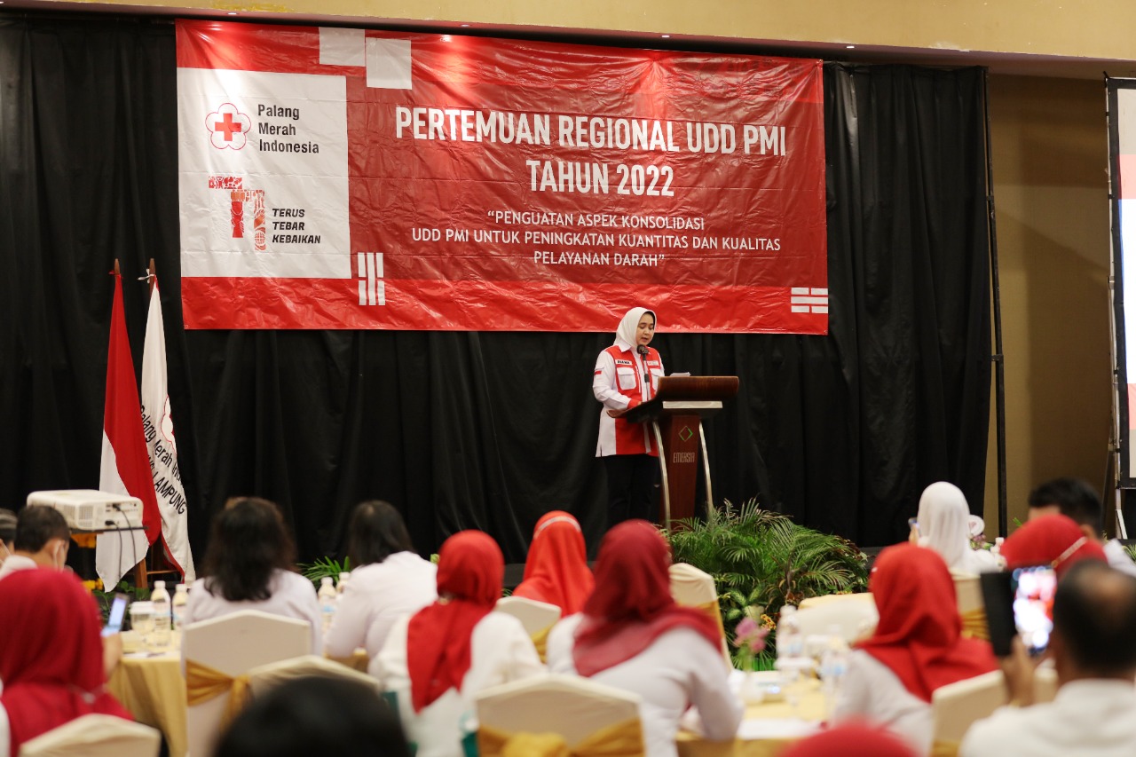 Riana Sari Arinal Sampaikan Sejumlah Isu Penting Dalam Pertemuan Regional I Unit Donor Darah PMI Tahun 2022