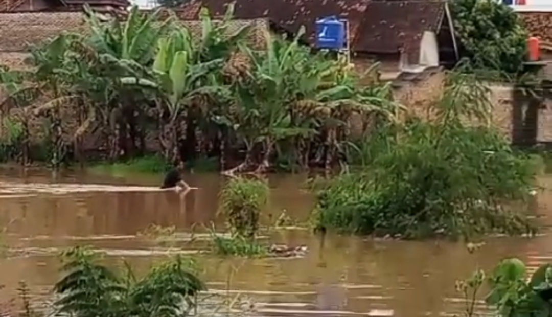 Main Hujan, Bocah Kelas 4 SD di Rajabasa Hanyut Terseret Arus Sungai