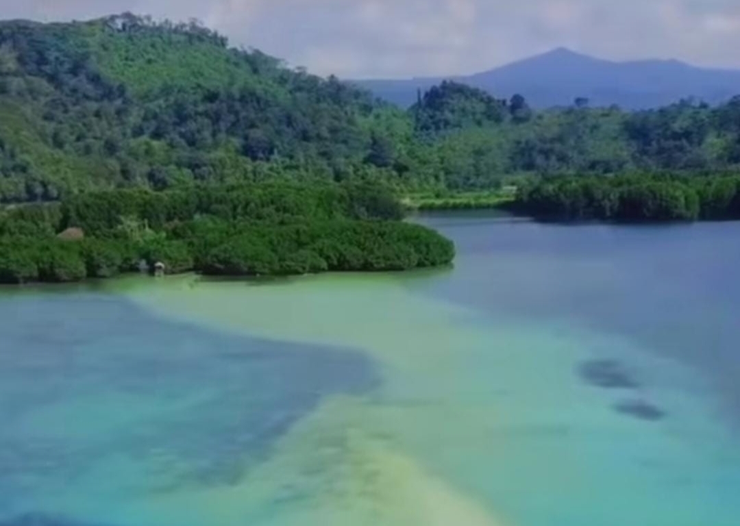 4 Rekomendasi Pulau di Kabupaten Pesawaran yang Kece, Surga Dunia Bagi Kamu Hobby Snorkeling
