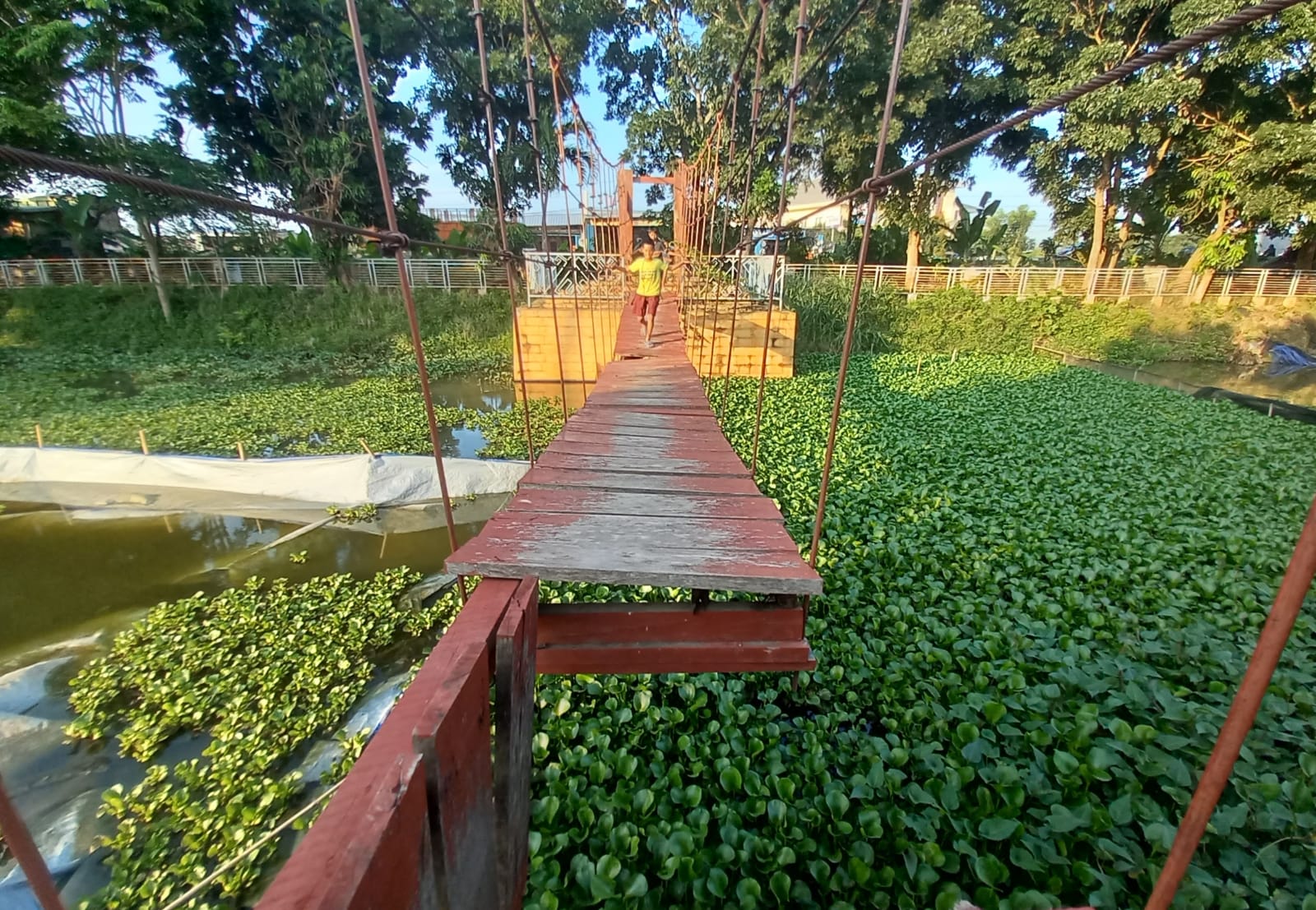 Potret Jembatan Gantung di PKOR Wayhalim yang Bikin Was-was