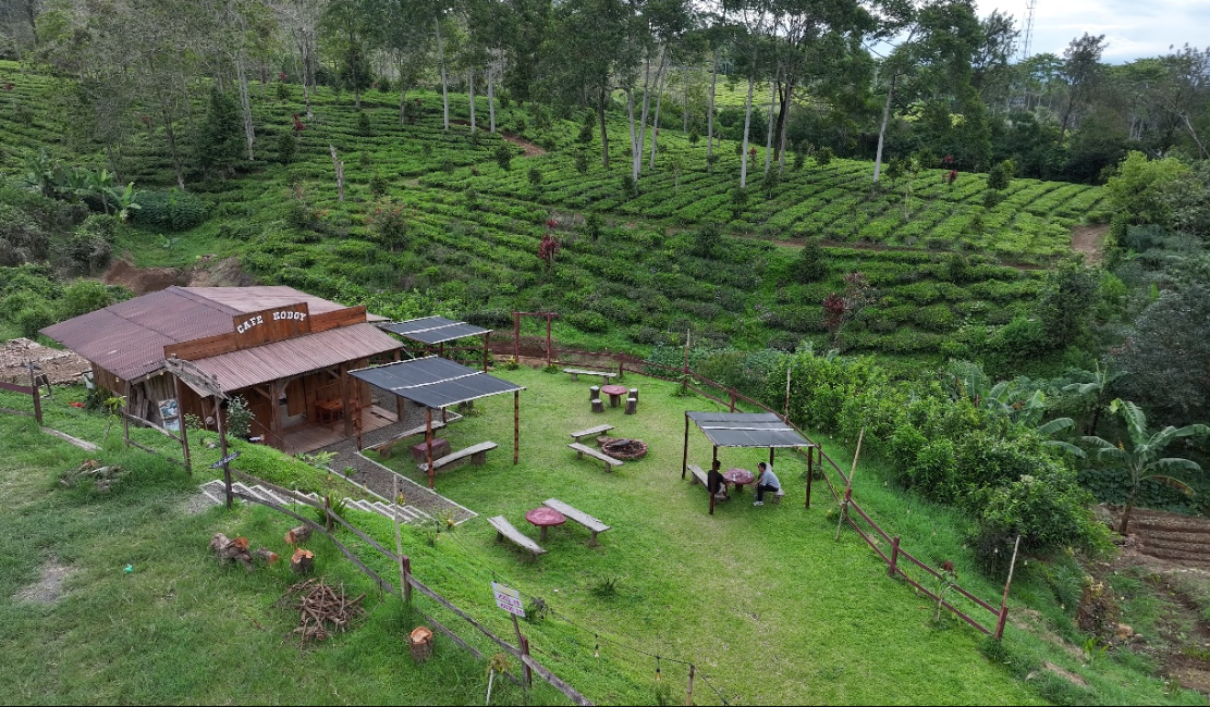 Kampung Koboi Tugu Selatan Melejit!, Wujud Transformasi Desa Berbasis Potensi Lokal dalam Program Desa BRILiaN