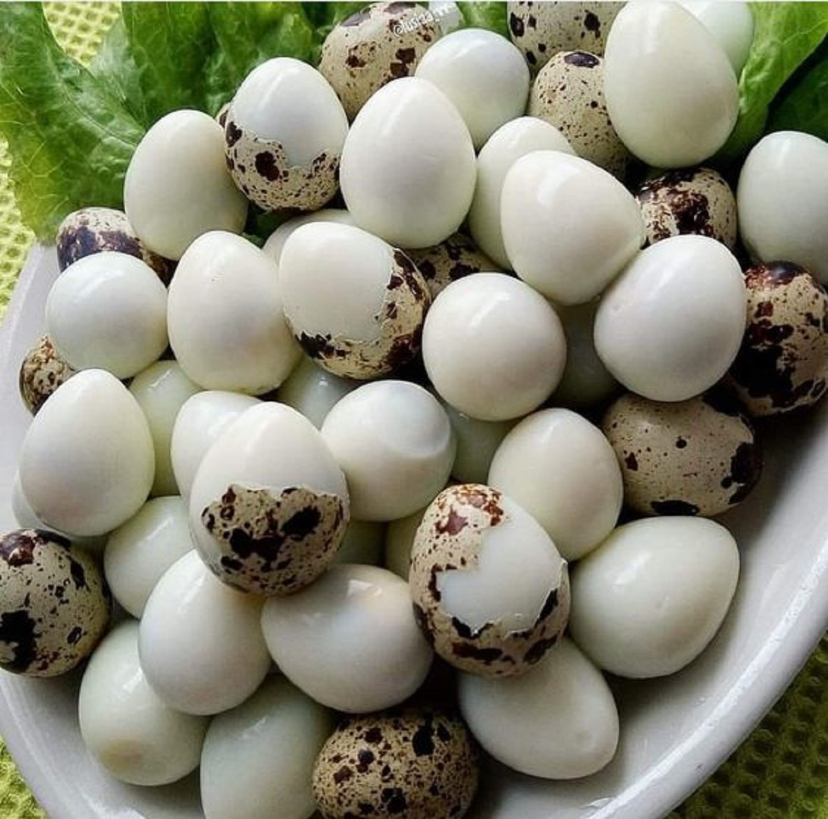 Baru Tahu Nih, 8 Manfaat Telur Puyuh Bagi Kesehatan Tubuh, Perlu Disimak