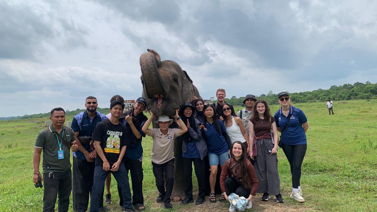 Modal Kuota dan Konten Sederhana, UMKM Wisata Ini Sukses Angkat Wisata Way Kambas hingga ke Turis Mancanegara