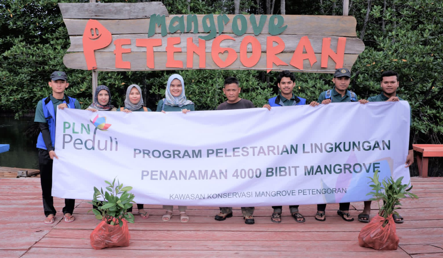 Dukung Pelestarian Kawasan Pantai, PLN Tanam 4000 Mangrove dan Bangun Fasilitas Ekowisata Mangrove