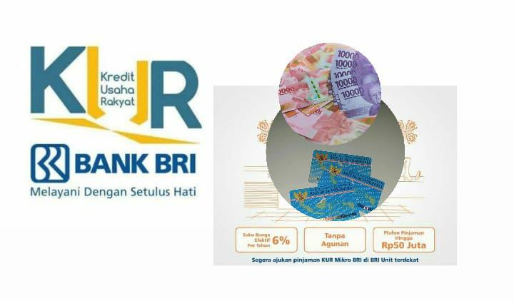 Anti Gagal! Ini Syarat Mudah Lolos Verifikasi Pinjaman Saldo Dana KUR Bank BRI