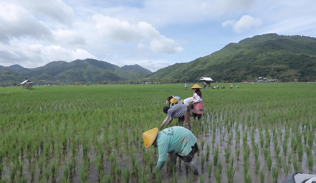 Berbasis Gotong Royong, Desa Manemeng Perkuat Ekosistem Ekonomi Kerakyatan melalui Program Desa BRILiaN