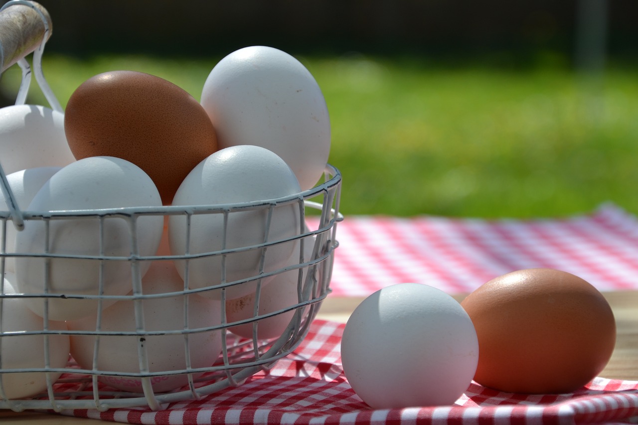 Dahsyat! Berikut Ini 5 Manfaat Putih Telur untuk Kesehatan