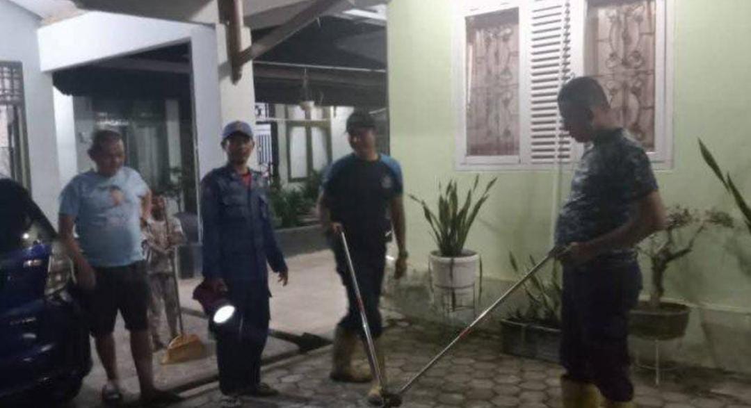 Masuk Pekarangan Rumah Warga Tulang Bawang, Ular Kobra Diciduk Petugas Damkar