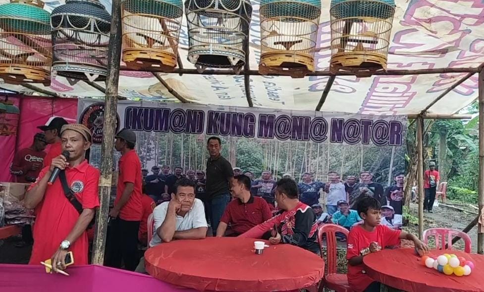 Anniversary Kum@N Ke-3, Perkuat Silahturahmi dan Junjung Tinggi Kearifan Lokal antar Pecinta Burung Perkutut