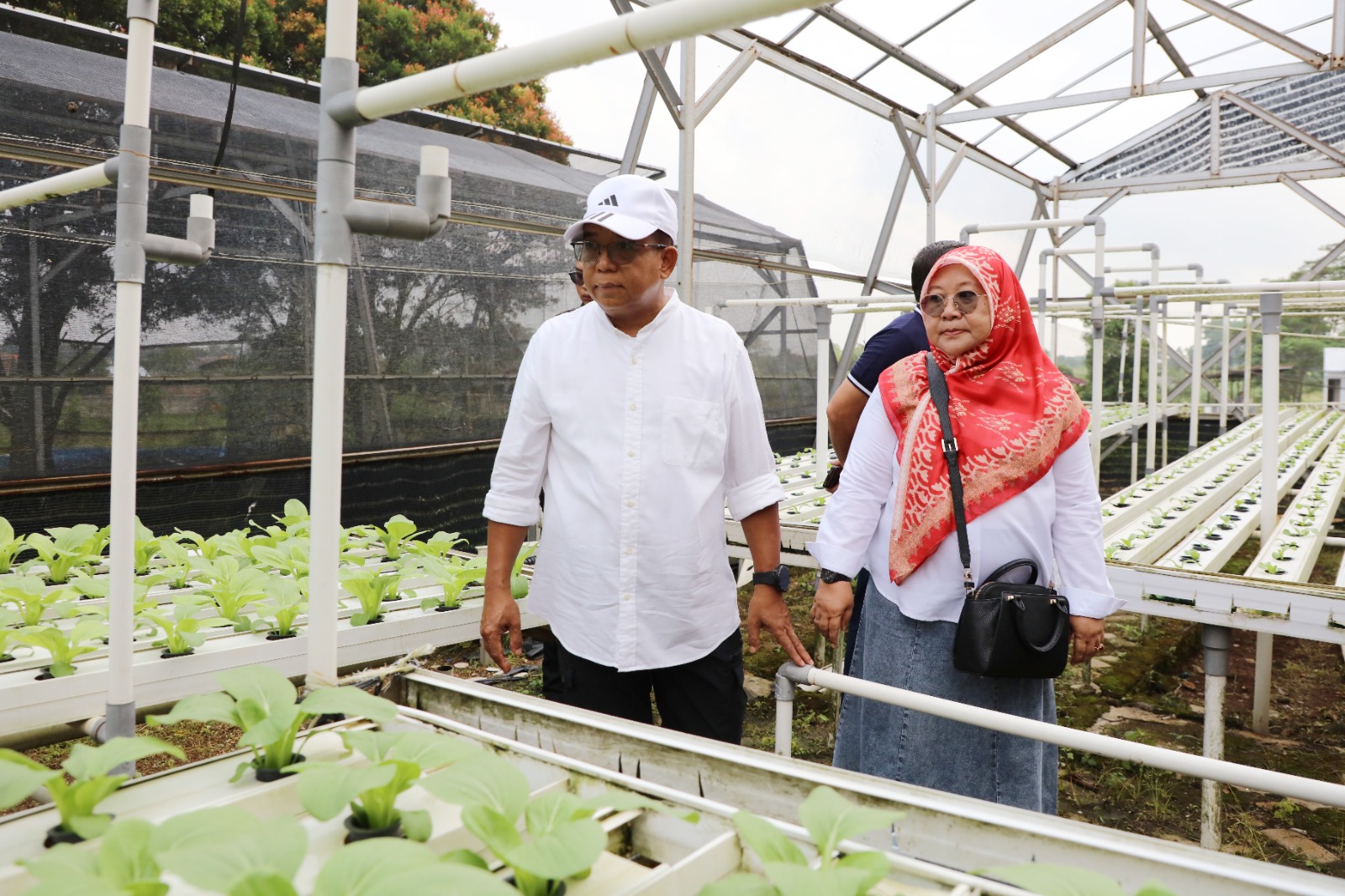 Miliki Potensi, Pj. Gubernur Samsudin Akan Promosi PKK Agropark 