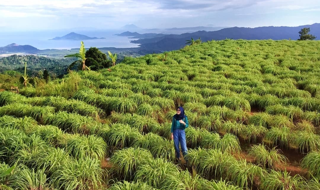 Homestay Murah Dengan 4 Ikon Bukit di Desa Wisata Lampung