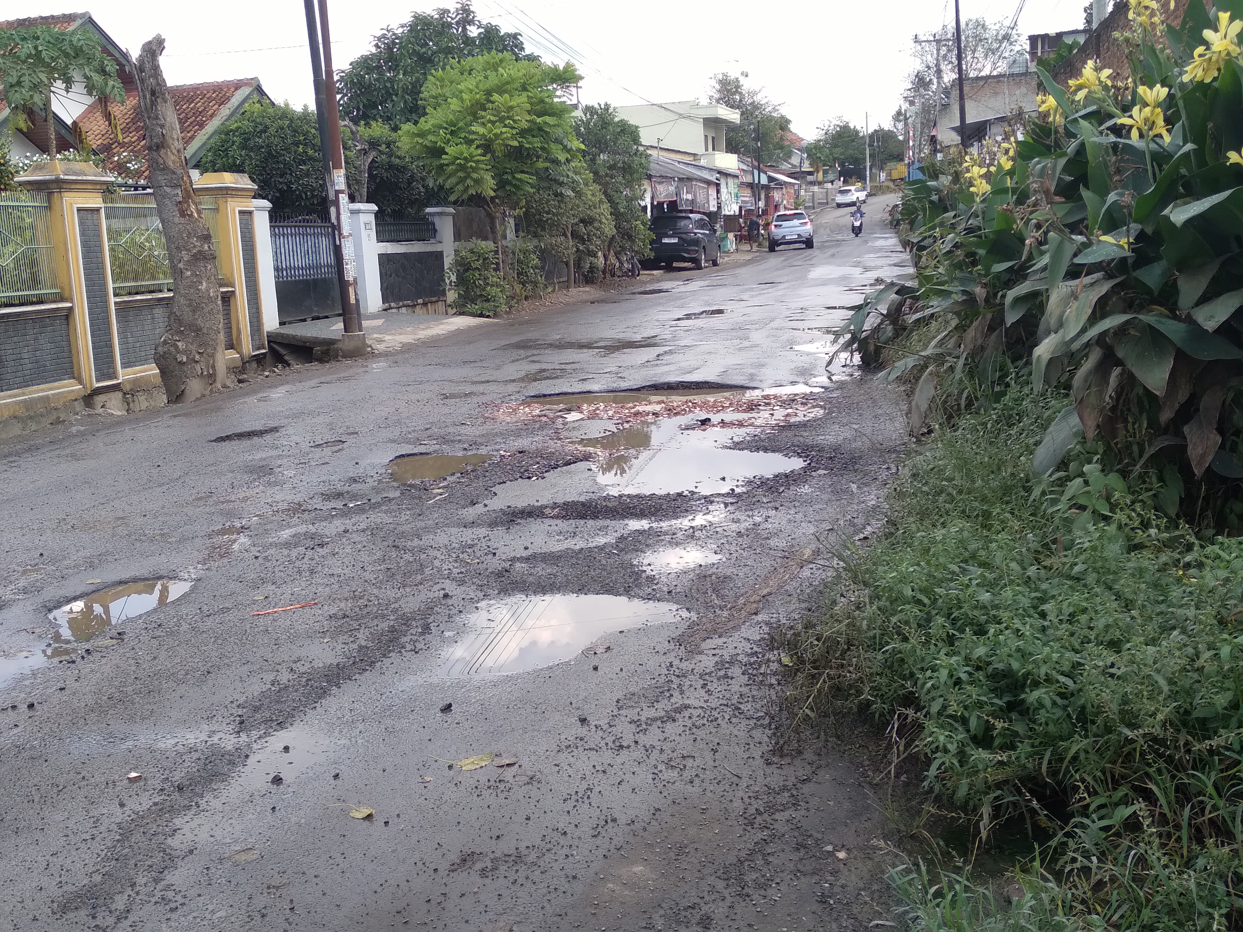 Terungkap, Ini Bocoran Ruas Jalan yang Bakal Diperbaiki Dinas PU Tahun 2025