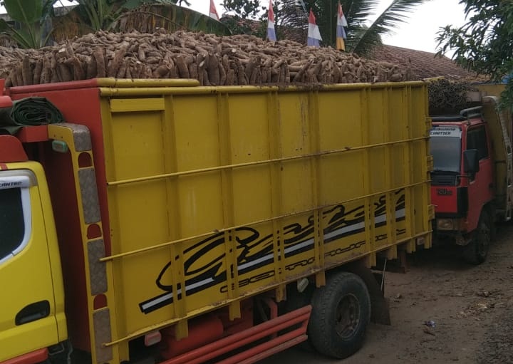 Pabrik Singkong di Way Kanan Diduga Langgar Instruksi Gubernur, Beli Singkong di Bawah Harga Standar