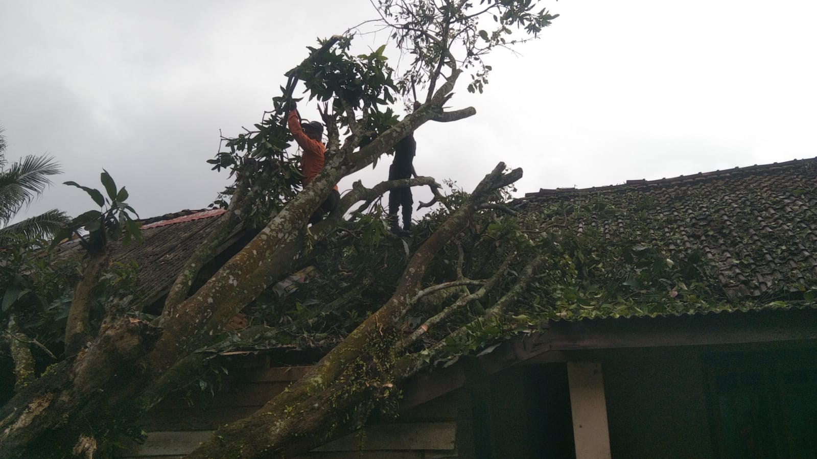 Puting Beliung, Puluhan Rumah Warga Rusak di Kecamatan Abung Timur