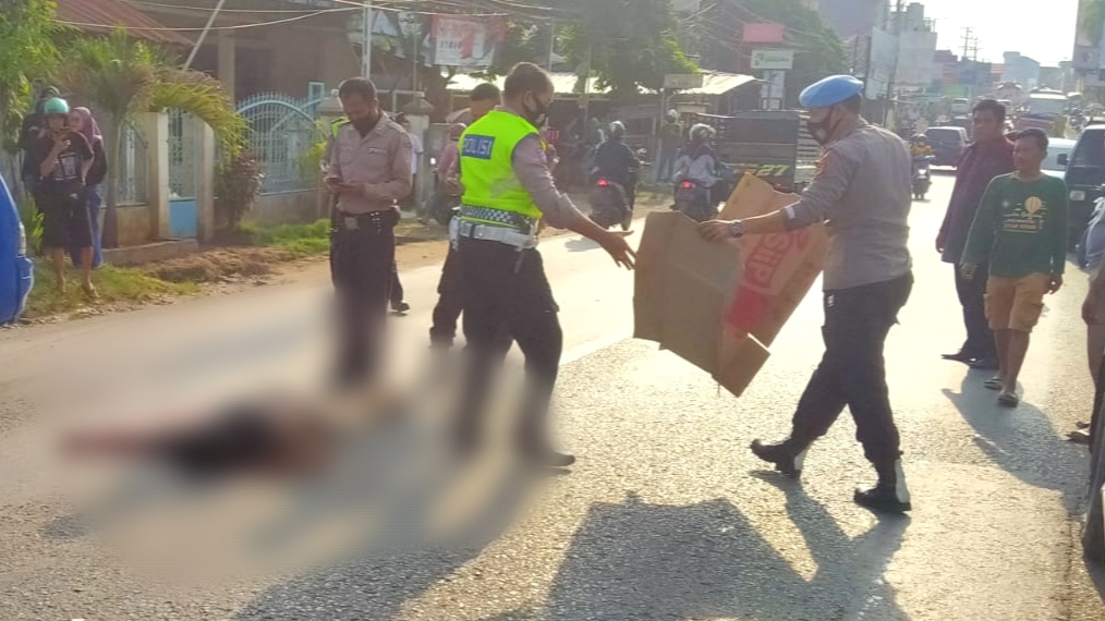 Pengendara Motor Tergeletak di Jalinbar Pringsewu, Kondisinya Begini 