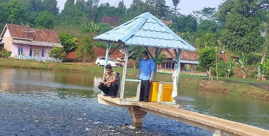 Miris! Pemkab Lampura Pandang Sebelah Mata Budidaya Ikan Air Tawar