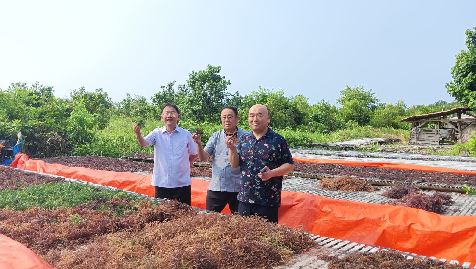 Lampung Bisa! Pengusaha Nasional Ini Dirikan Pabrik Pupuk Berbahan Rumput Laut di Tanah Kelahiran