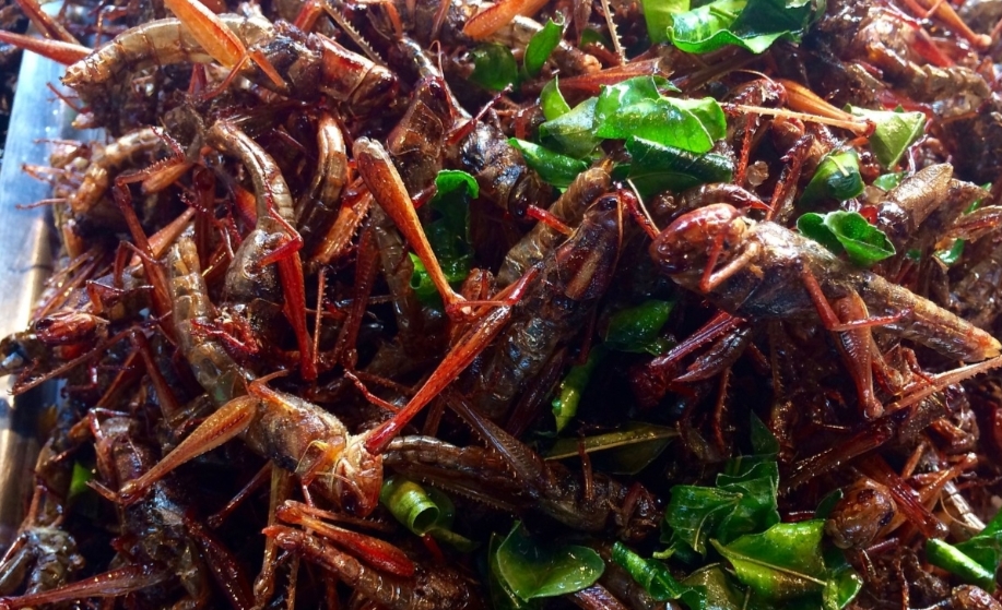 13 Makanan Ekstrem di Indonesia, Ngeri-ngeri Sedap Euy! Ada Yang Sejak Era Dinasti Qing
