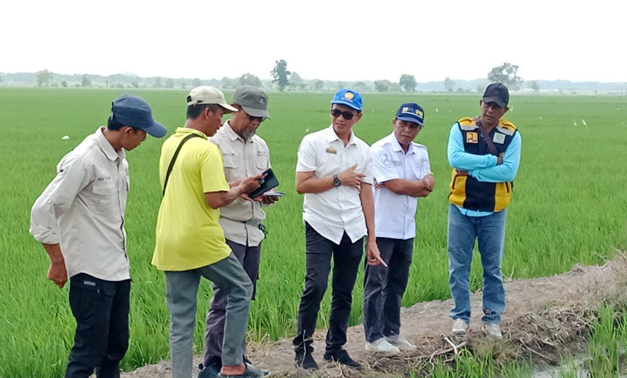 Dukung Pertanian Tiga Kali Panen, Dinas Pertanian Mesuji Perkuat Kolaborasi dengan Kementan dan Gapoktan