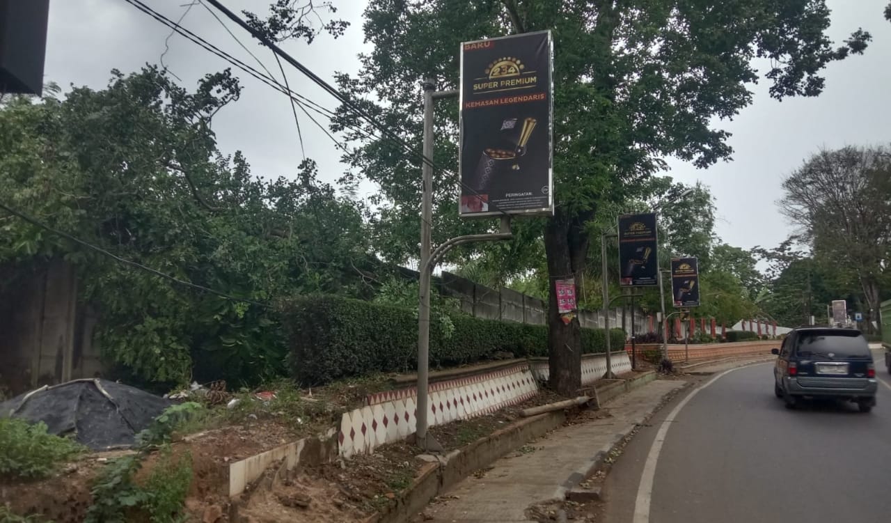 Hujan Deras Disertai Angin Kencang Guyur Lampura, Pohon Tumbang Timpa Kabel Listrik Bertegangan Tinggi