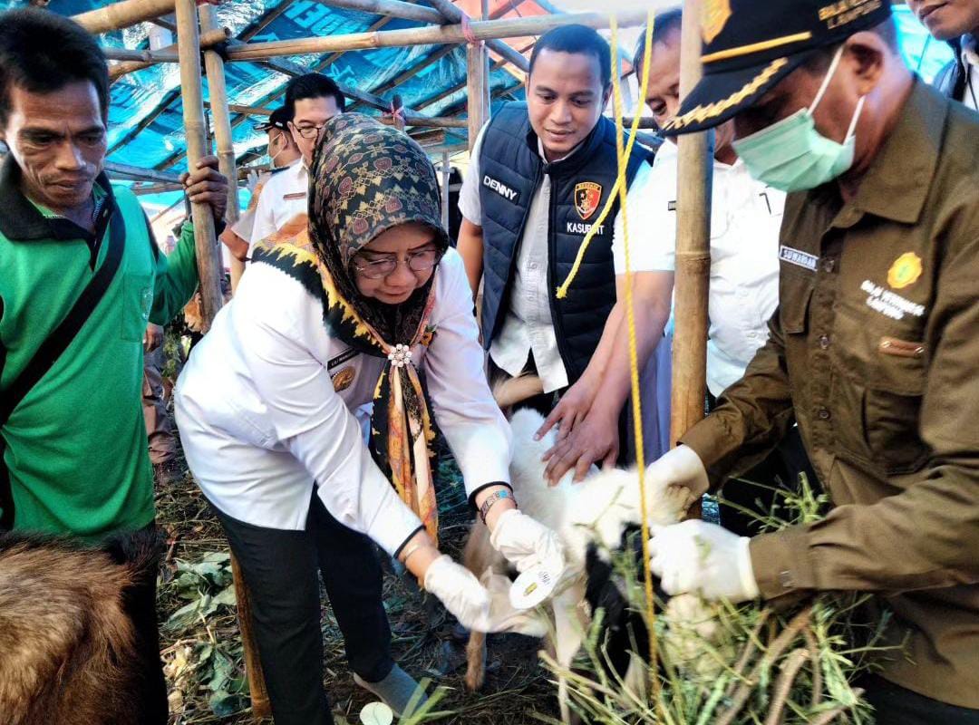 Pengawasan Hewan Kurban Masih Berlangsung Sampai Besok, Ini Tips Menyimpan Daging yang Aman