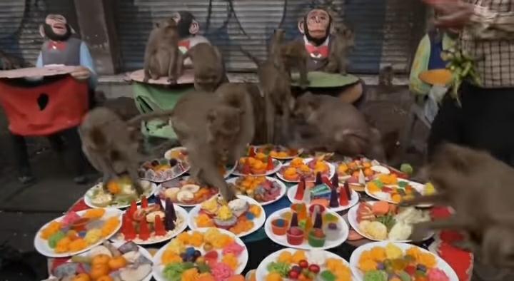 Tradisi Unik Thailand, Gelar Pesta Monyet Tahunan Hingga Nikmati Hidangan Bersama-Sama