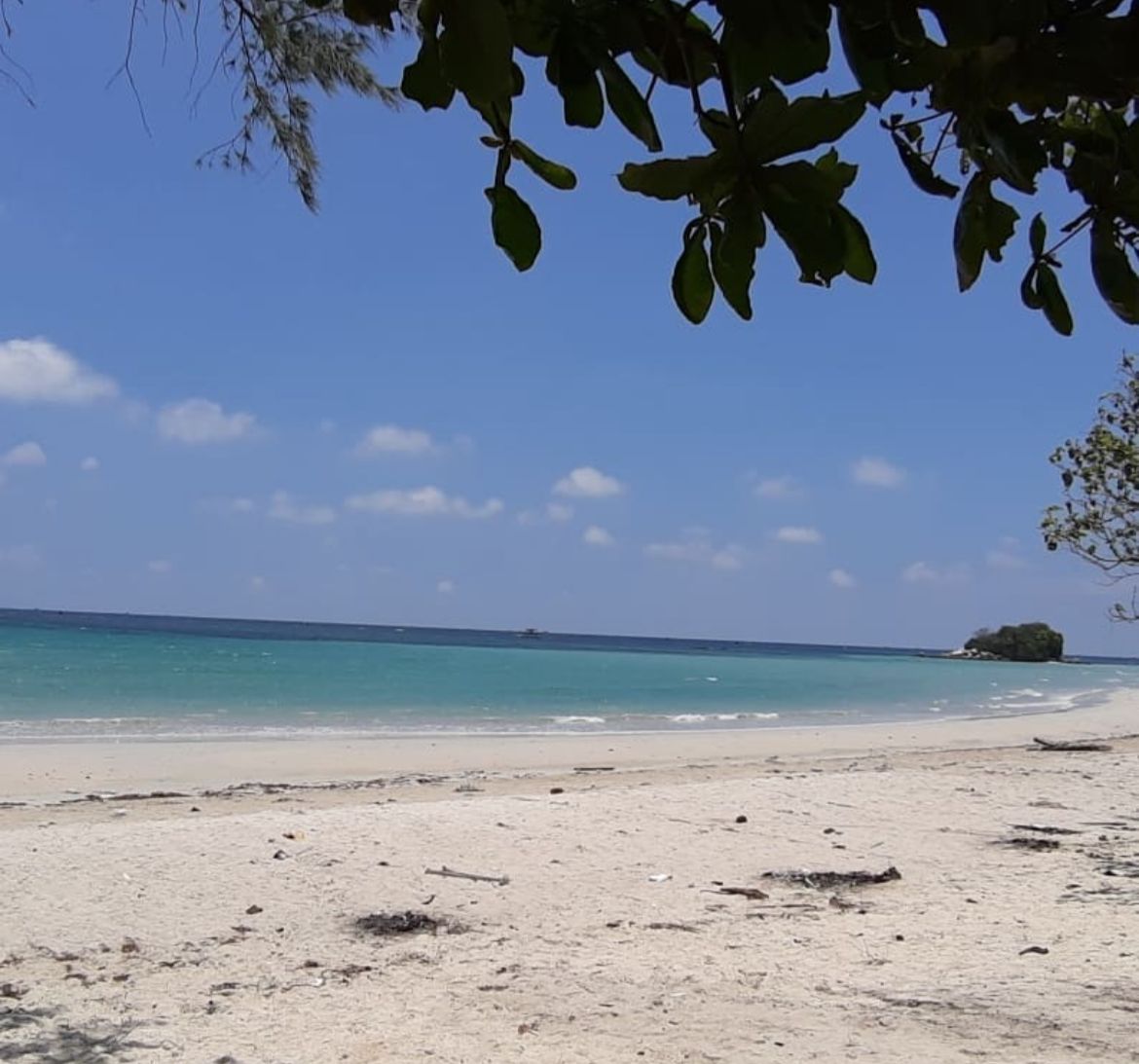 Ada di Kepulauan Riau, Ini 8 Destinasi Wisata di Pulau Bintan yang Indah dan Mempesona