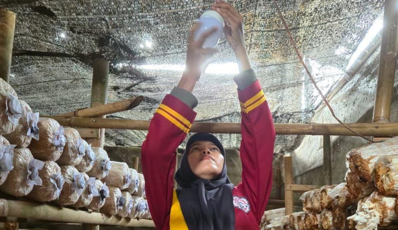 Mahasiswi Teknik Elektro Universitas Teknokrat Ciptakan Pembangkit Listrik Tenaga Surya untuk Kumbung Jamur