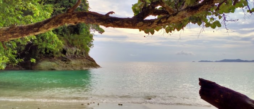 Pantai Teluk Hantu, Destinasi Wisata Lampung yang Eksotis Dengan Beragam Keindahan 