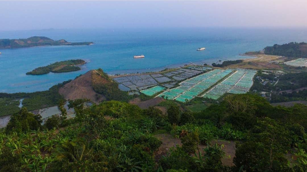 Rekomendasi Tempat Berkemah di Lampung, No. 3 Pemandangan Paling Keren