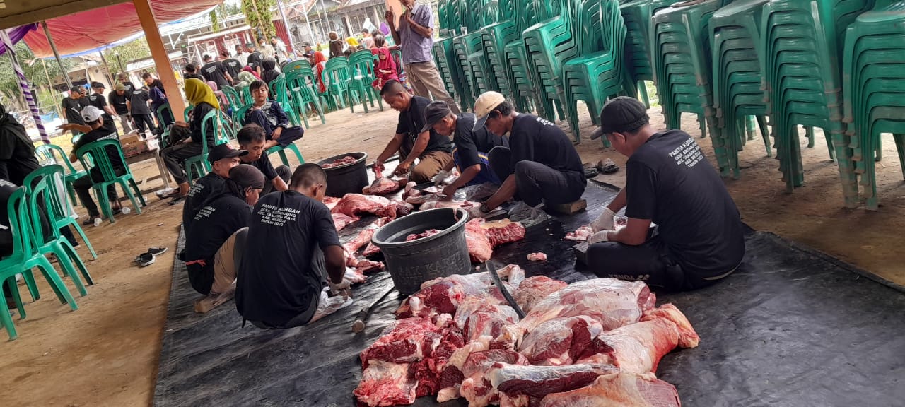 Usai Shalat Idul Adha, Sapi Kurban Presiden Jokowi Disembelih, Warga Antusias