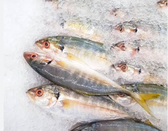 Catat Bun, Selain Salmon Inilah 7 Jenis Ikan yang Bagus untuk MPASI