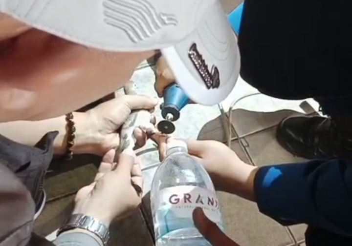 Damkarmat Bandar Lampung Selamatkan Burung Perkutut Warga Gedong Tataan dari Cincin yang Mengikat