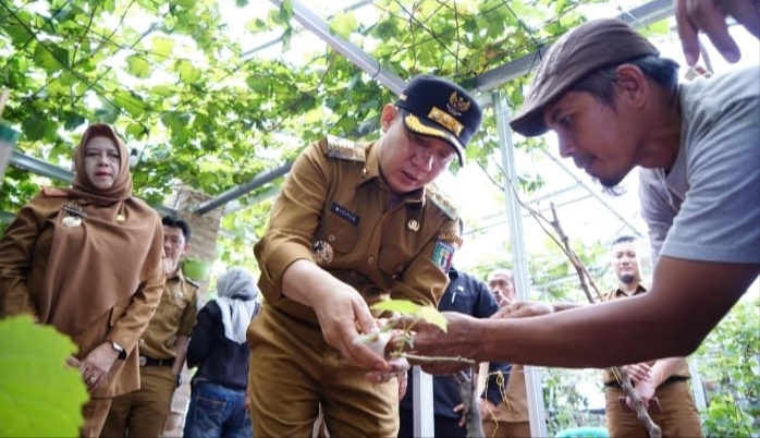 Pemkab Pringsewu Dukung Pengembangan Budidaya Anggur