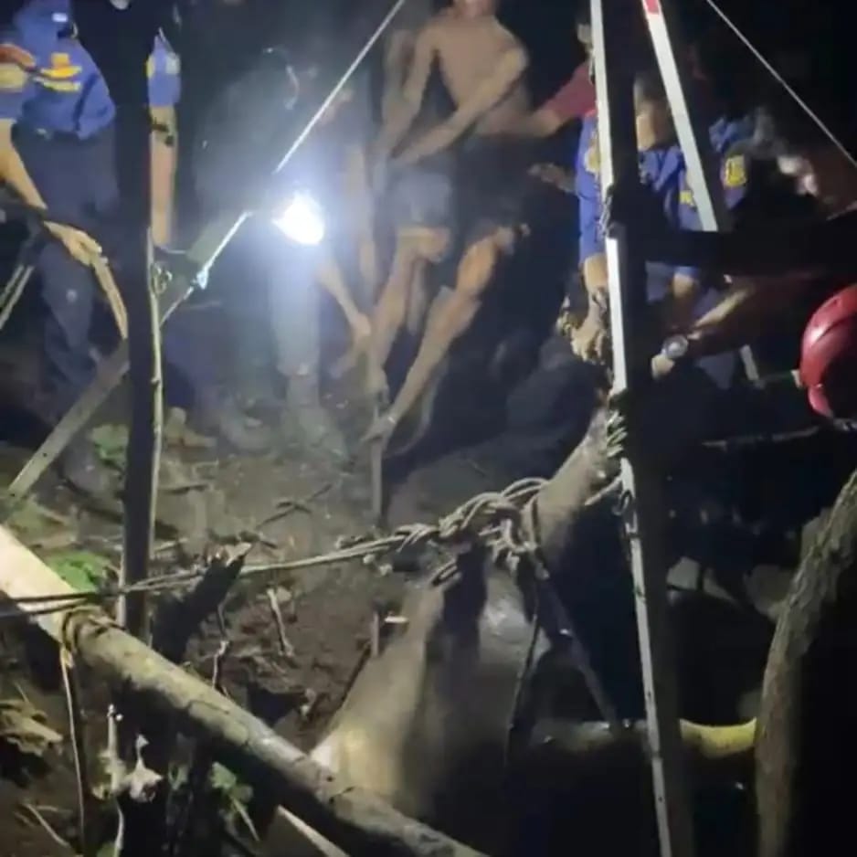 Kerbau Tercebur Sumur 8 Meter, Damkarmat Bandar Lampung Berjibaku Lima Jam