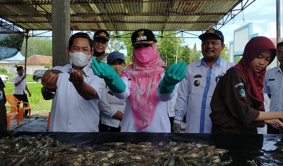 Tinjau Panen Udang, Bupati Harapkan Budidaya Terus Dikembangkan di Tanggamus