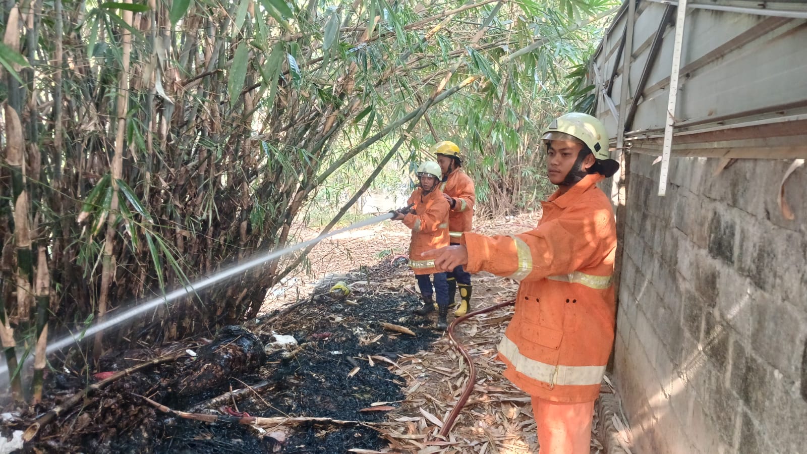 Puntung Rokok Diduga Picu Kebakaran Lahan di Metro