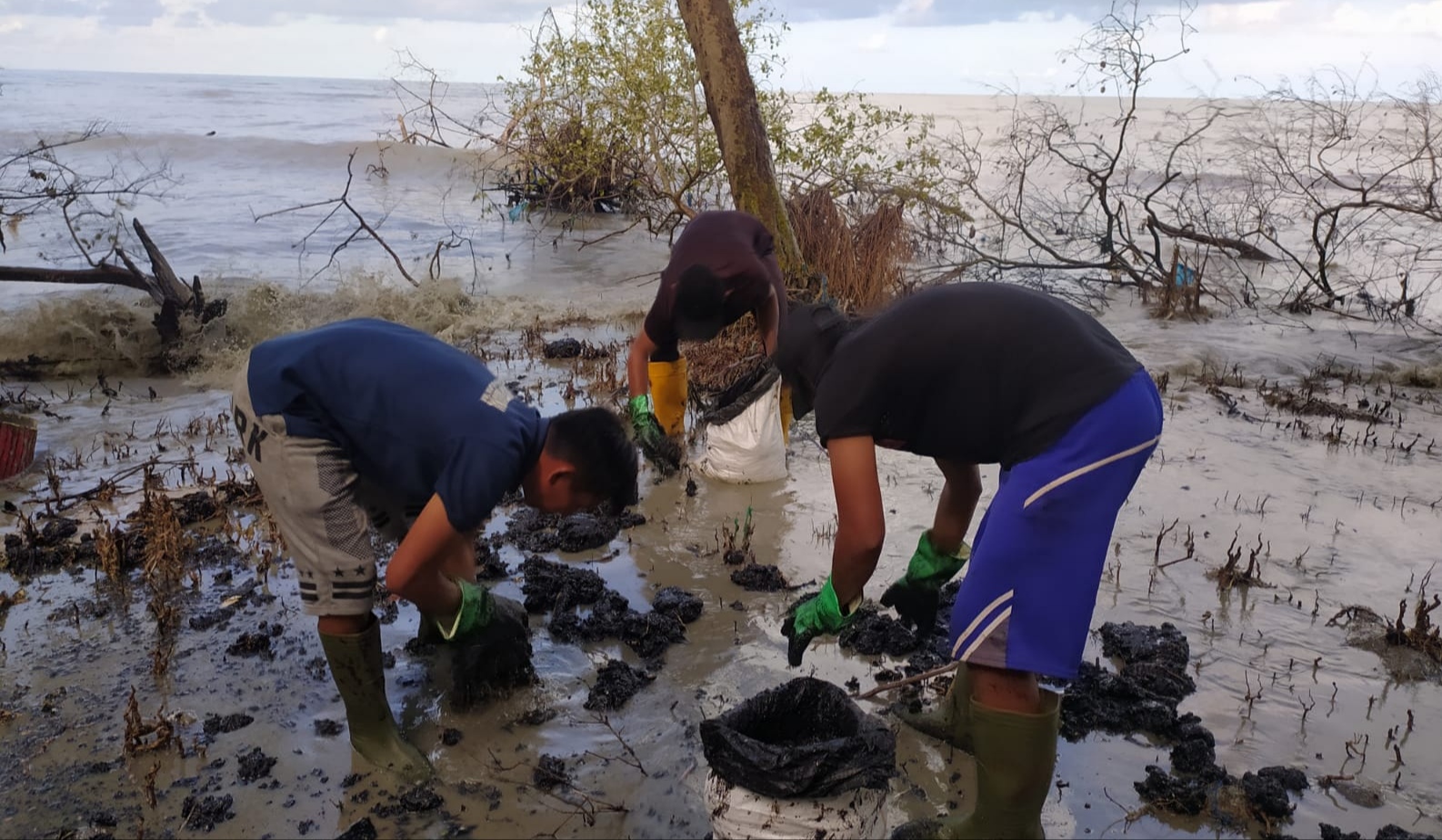 Pesisir Pantai Lampung Timur Menghitam, Ternyata Ini Penyebabnya 
