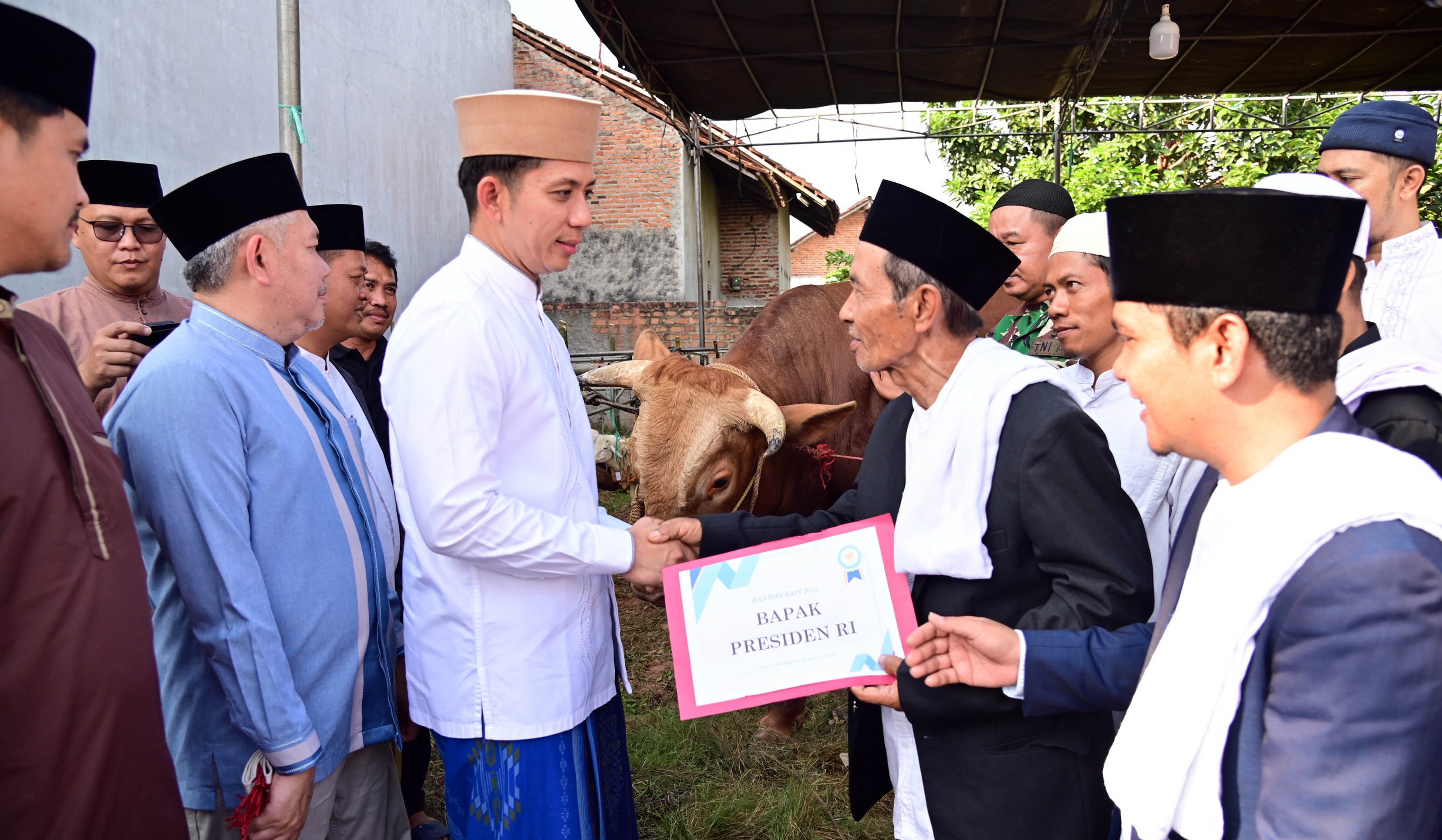 Bupati Egi Salurkan Sapi Presiden Prabowo untuk Warga Lampung Selatan