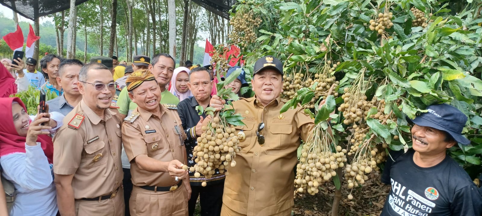 Arinal Optimis, Ke Depan Provinsi Lampung Tidak Perlu Impor Kelengkeng