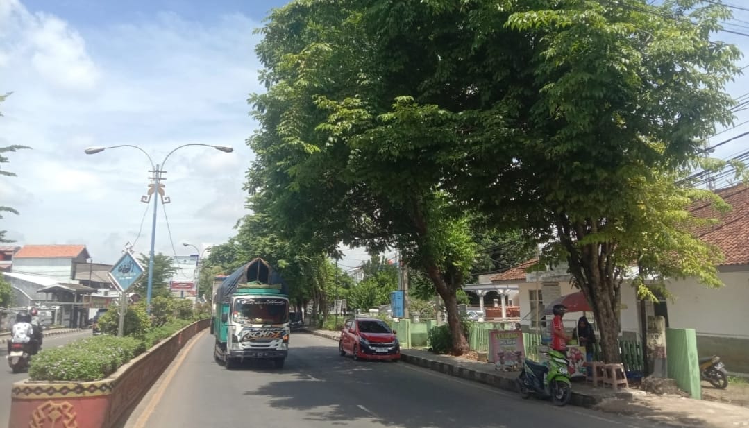 Masyarakat Lampura Pinta Ranting Pohon Menjalar Ke Badan Jalan Pengguna Jalan Segera Ditebang!