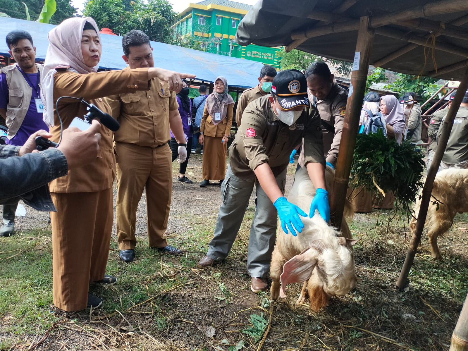 Dinas Pertanian Bandar Lampung Sebut Periksa Kesehatan Hewan Kurban hingga H+3 Hari Raya Idul Adha