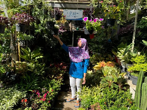 Cerita Klaster Bunga Bratang Binaan BRI di Kota Surabaya, Kini Punya Tempat Usaha Nyaman