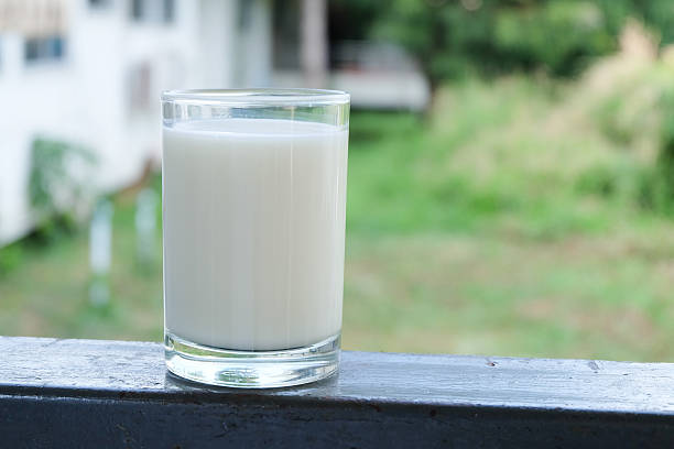 Wajib Diketahui, Ini 4 Manfaat Minum Susu untuk Orang Dewasa