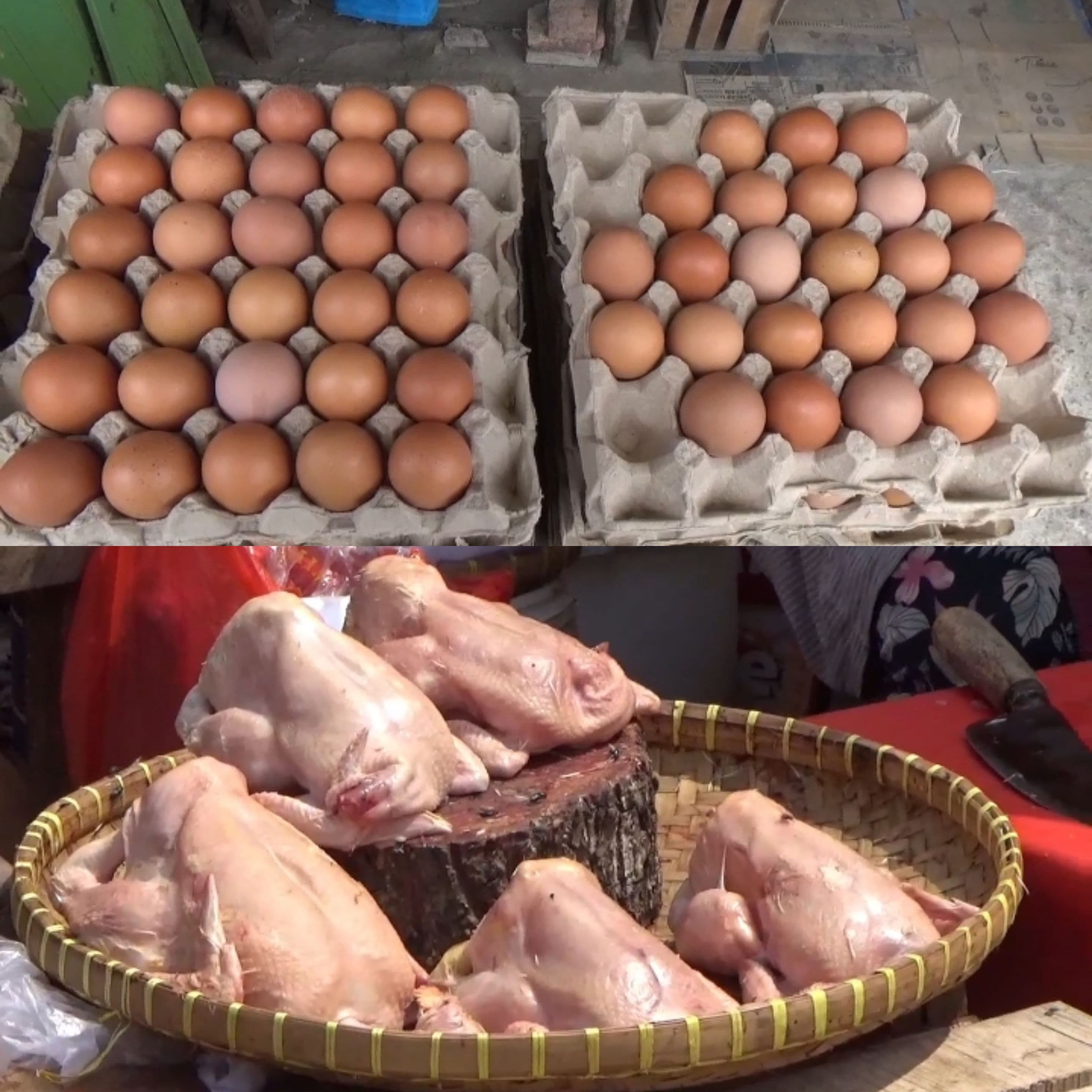 Harga Ayam dan Telur Alami Penurunan, Pedagang Keluhkan Sepinya Pembeli.