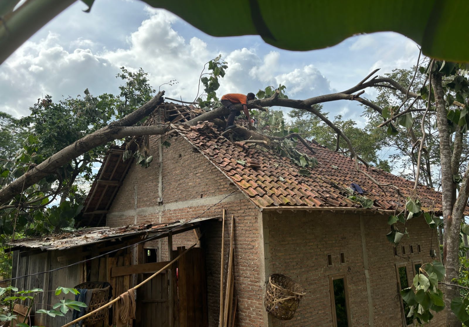 BPBD Mesuji Pemetaan Wilayah Rawan Angin Kencang dan Puting Beliung, Warga Diimbau Waspada