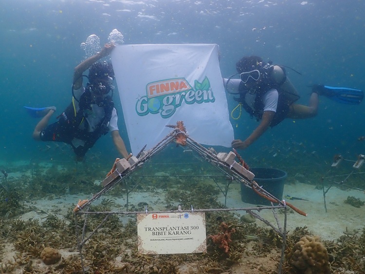 Dukung Nelayan juga Ekowisata, Finna Tanam Ratusan Bibit Terumbu Karang di Pulau Pahawang