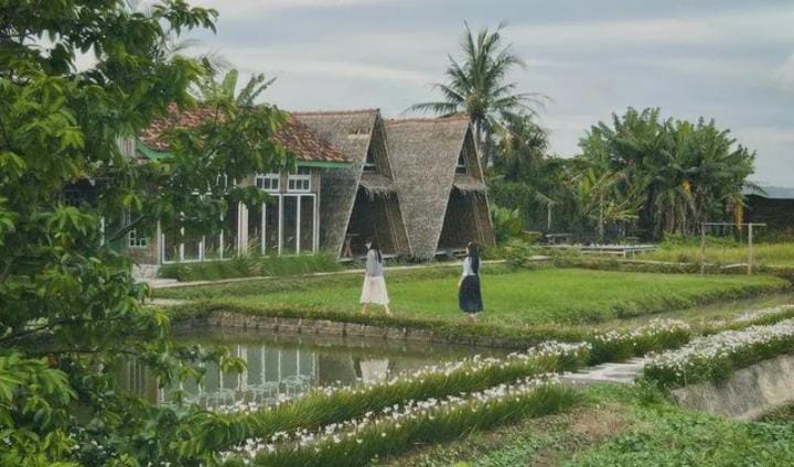 Wajib Dikunjungi Saat Liburan Nataru! Inilah Destinasi Wisata ala Puncak Bogor di Lampung 