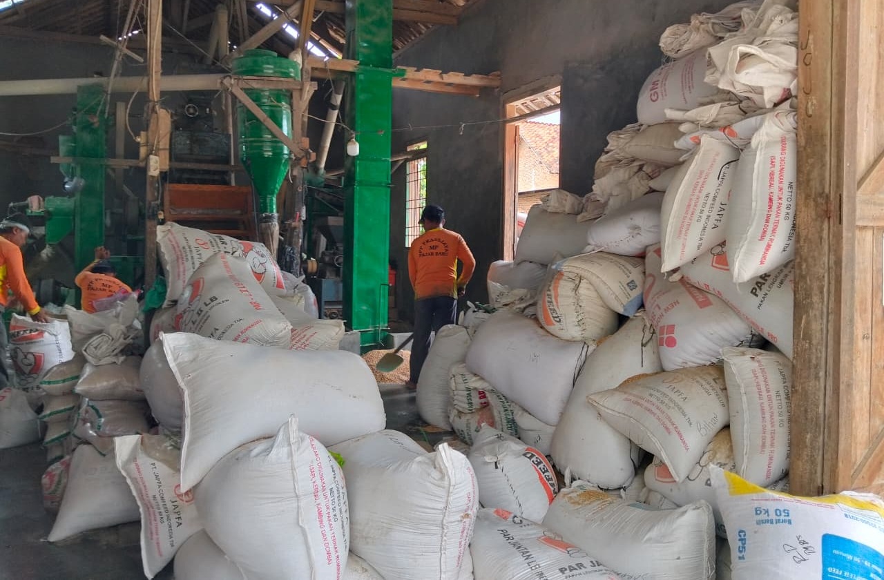 Larangan Jual Gabah ke Luar Lampung Berbuah Untung, Penggilingan Padi Lokal Panen Pesanan