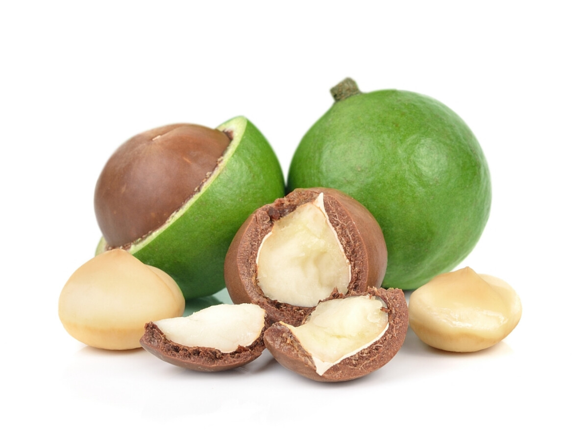 Mengenal Kacang Macadamia, Dikenal Termahal di Dunia dan Miliki Banyak Manfaat